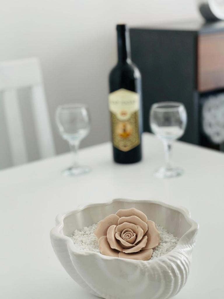 Apartmani Zivkovic Srebrno Jezero