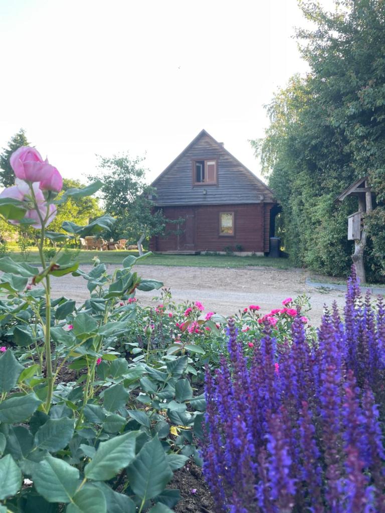 Namelis - pirtelė photo 4