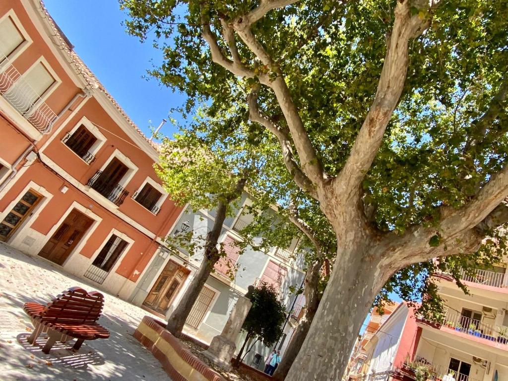 Apartamentos del Tenor photo 4