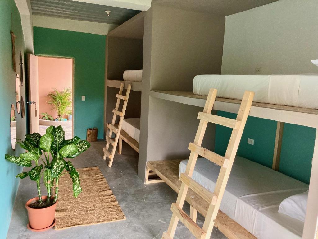 The Journey Hostel photo 3