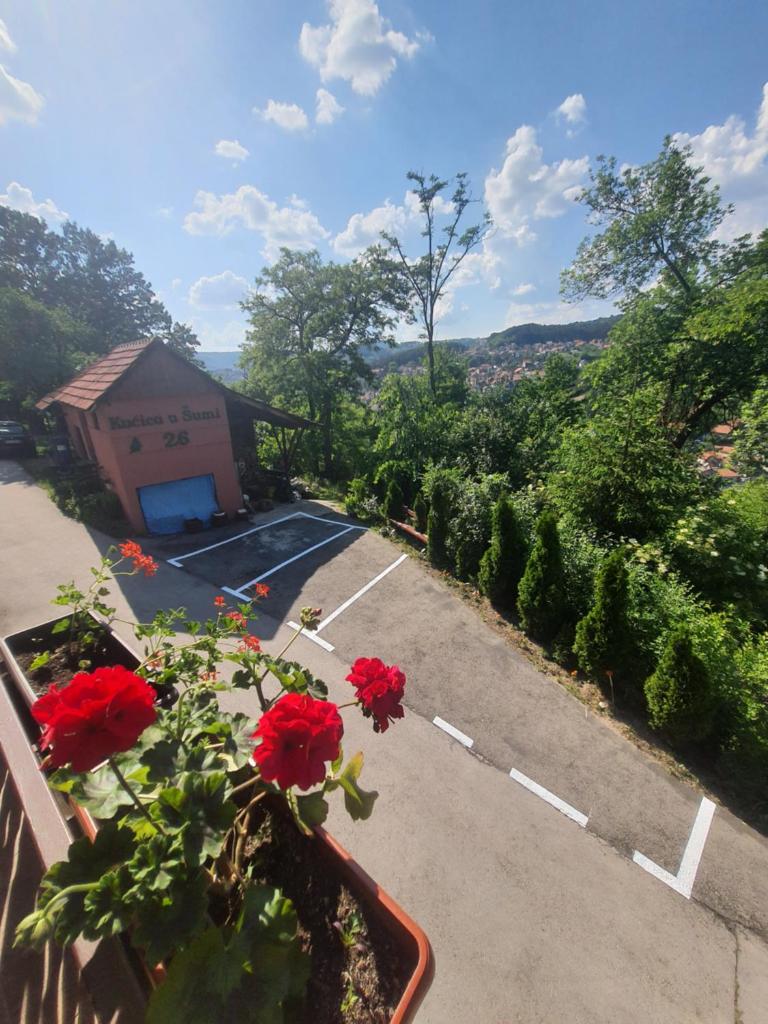 Kucica u Šumi photo 2