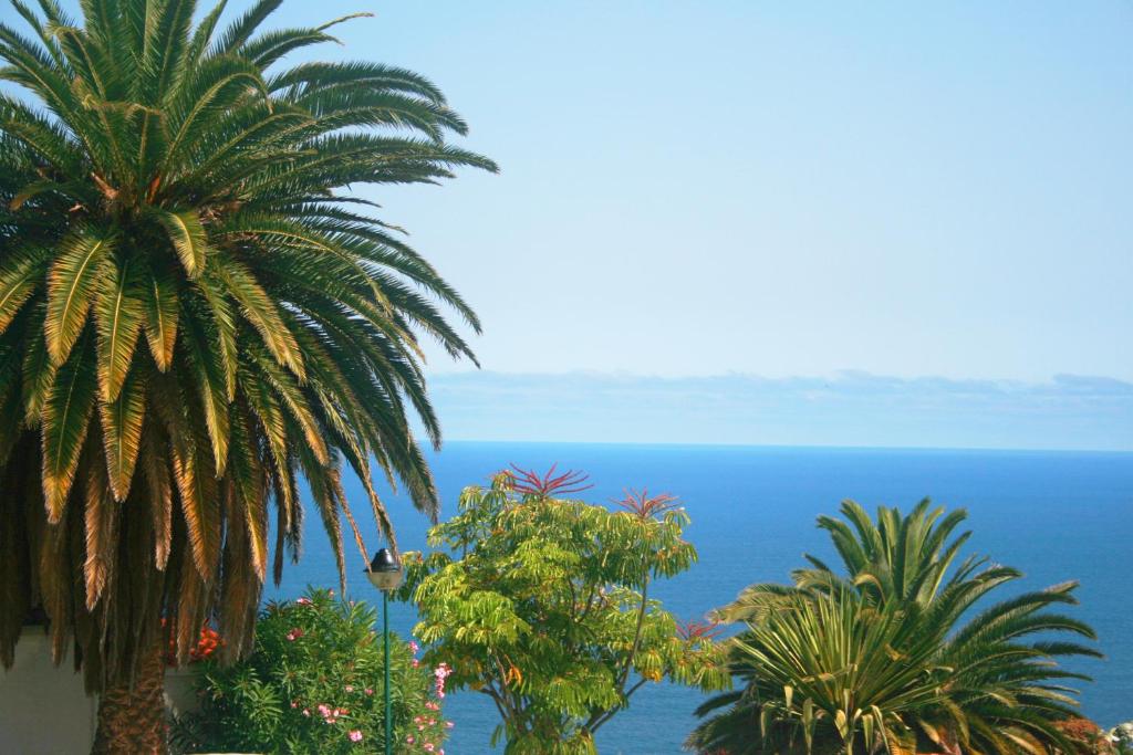 PARAISO TRANQUILIDAD VISTAS MAR y TEIDE photo 3