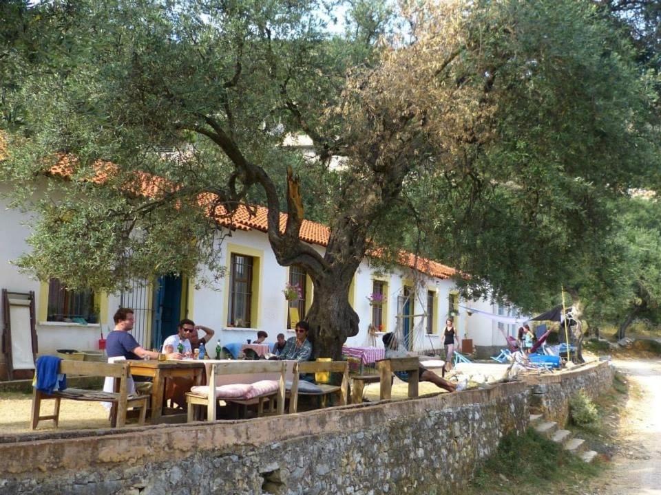 Shkolla Hostel & Camping photo 1