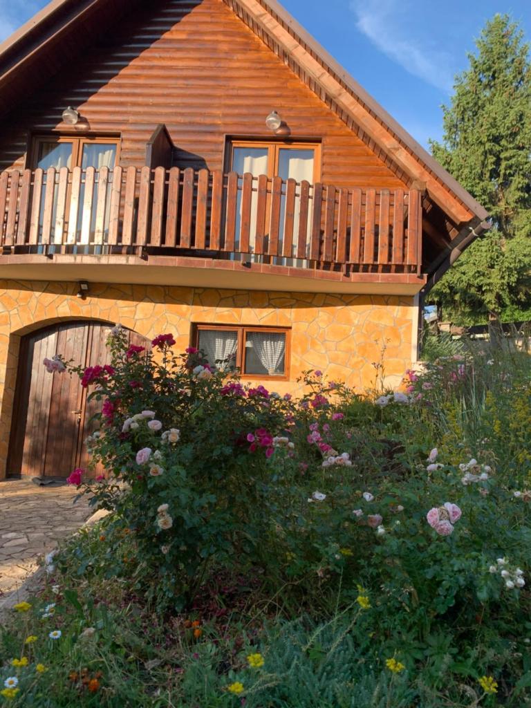 Guesthouse Stefanac photo 3