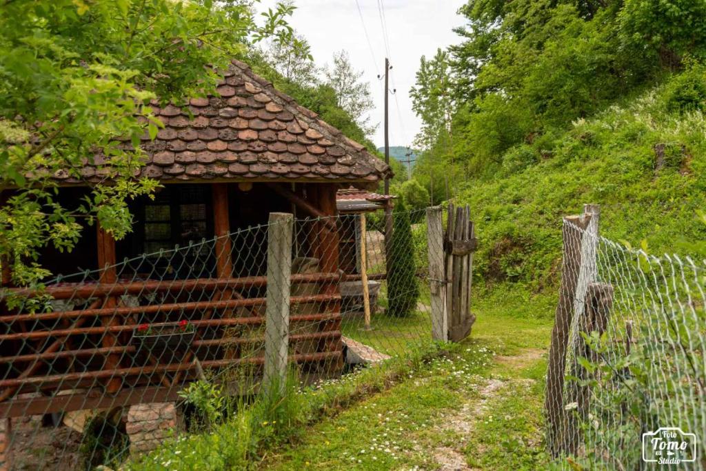 Mikin vajat i ribnjak Korenita, Loznica photo 1