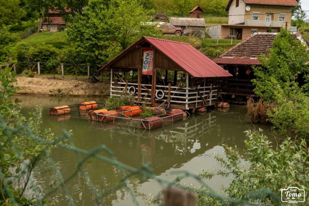 Mikin vajat i ribnjak Korenita, Loznica photo 3