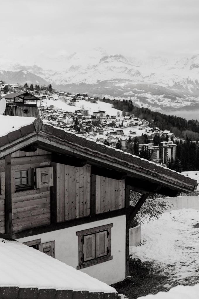 Chalet Marie Blanche photo 4