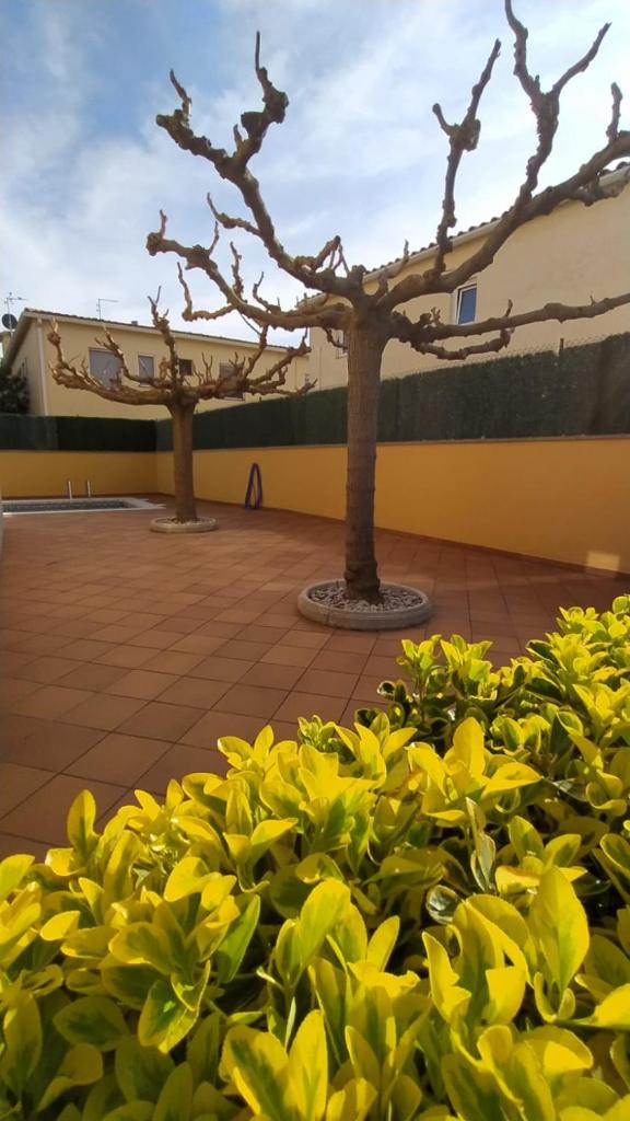SANT BRIU photo 2