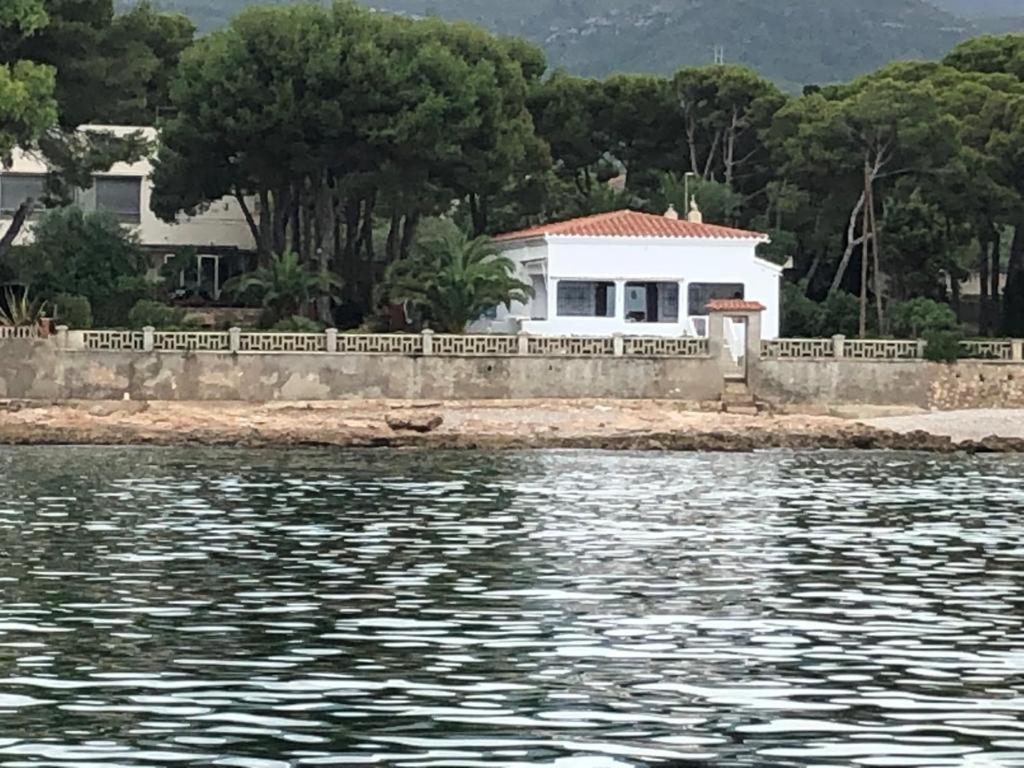 Sargantana Blava photo 1
