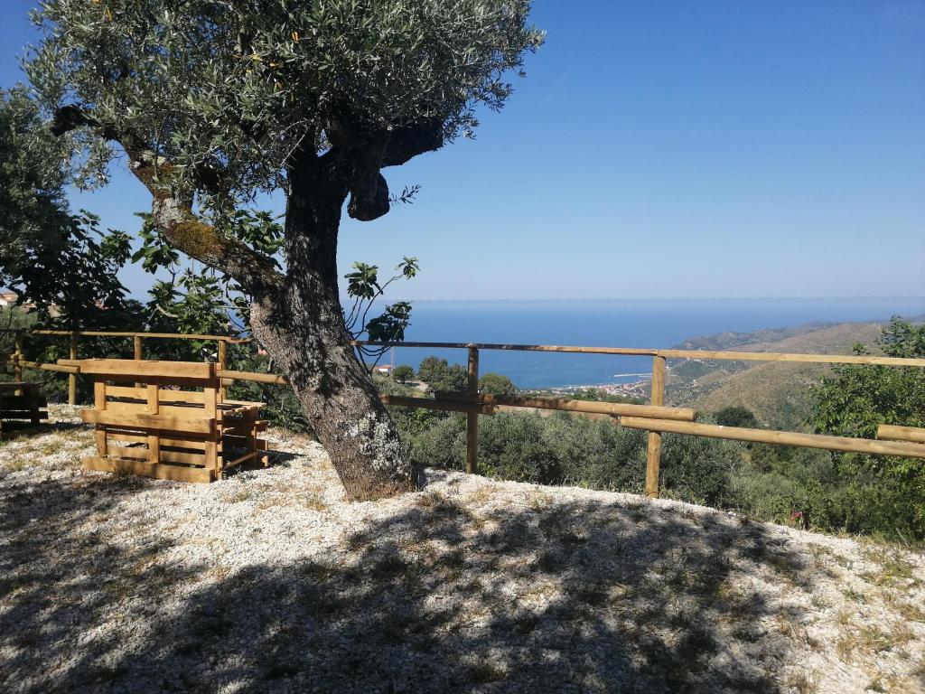 Agricoltura Rascio photo 4
