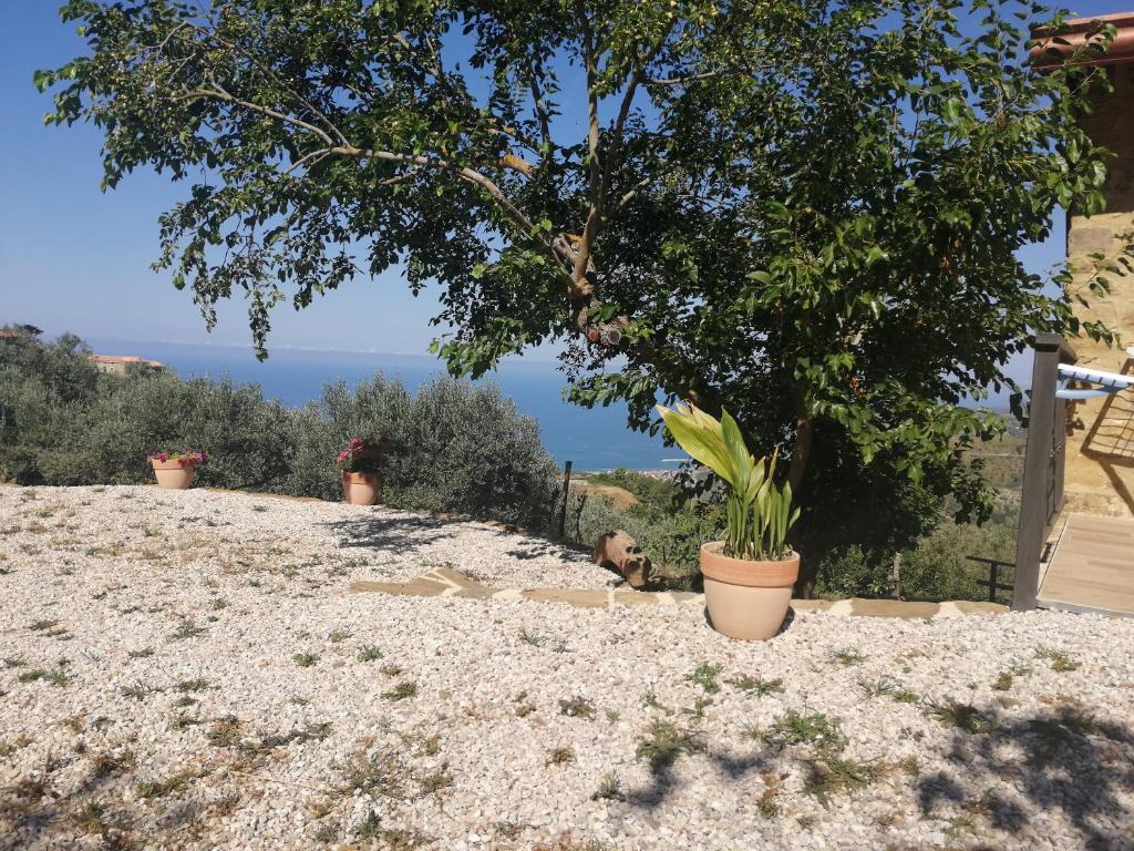 Agricoltura Rascio photo 2