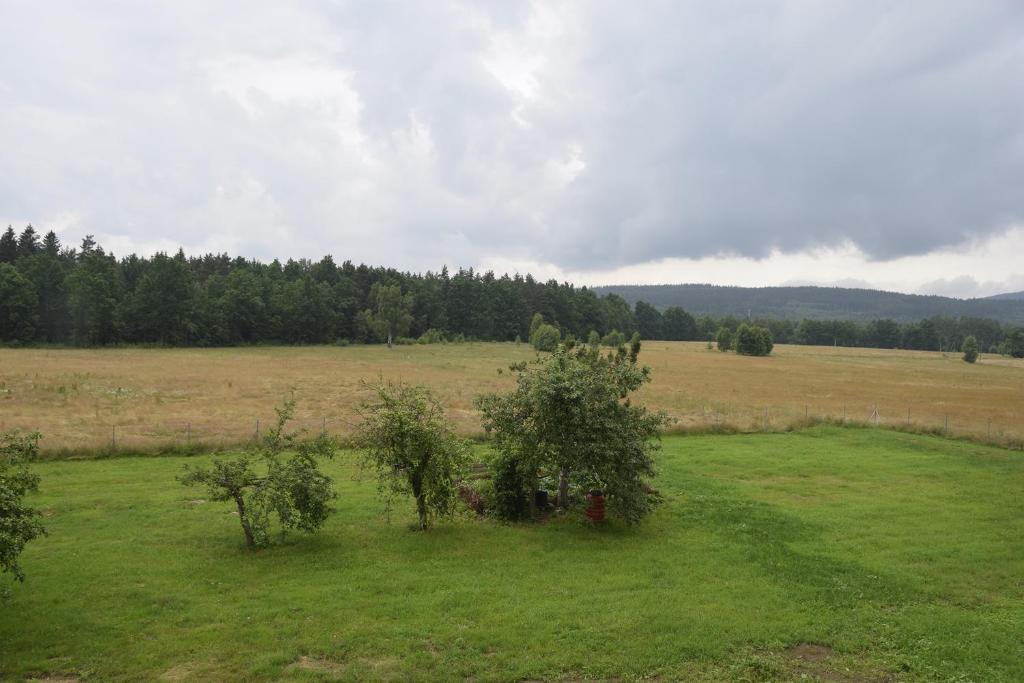 Nowa Kamienica 11 photo 1