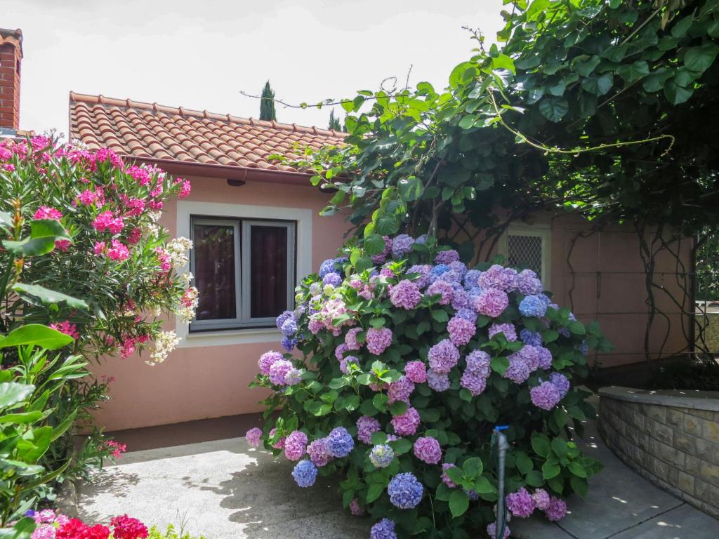 Holiday Home Catarina 1 - ZAD113 by Interhome photo 1