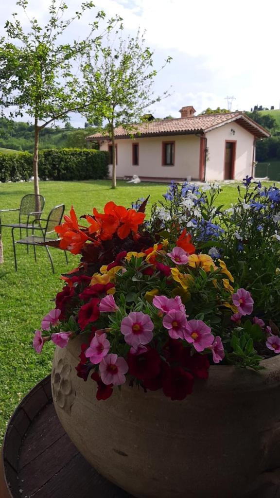 Agriturismo La Vita è Bella photo 4
