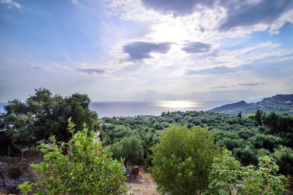 Villa Panorama photo 1