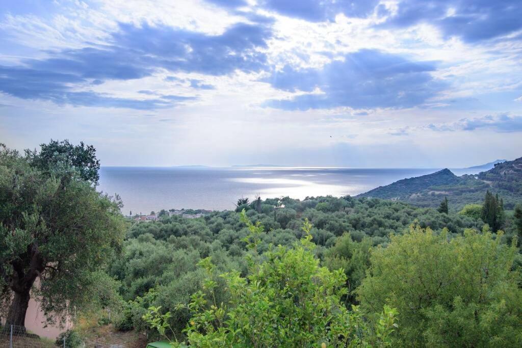 Villa Panorama photo 2
