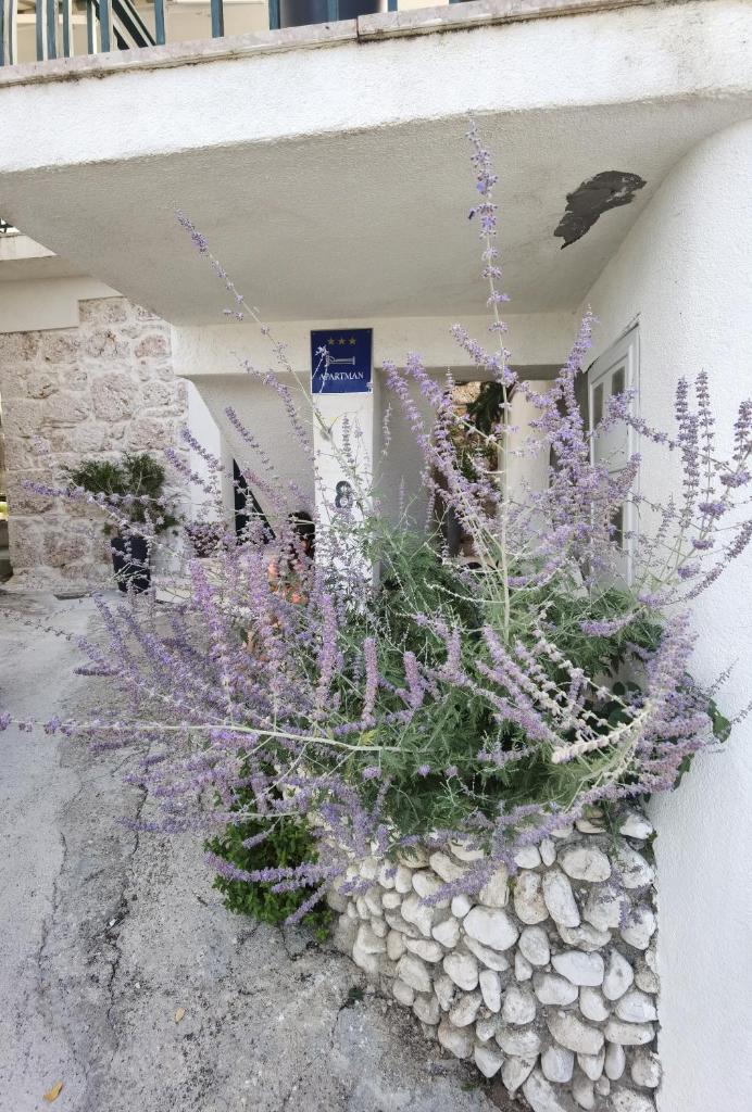 Manda Gradac photo 4