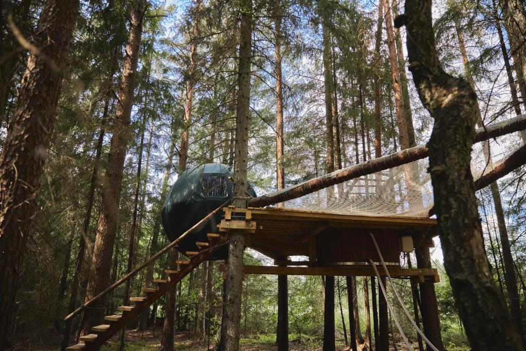 Palapinė Medyje photo 3