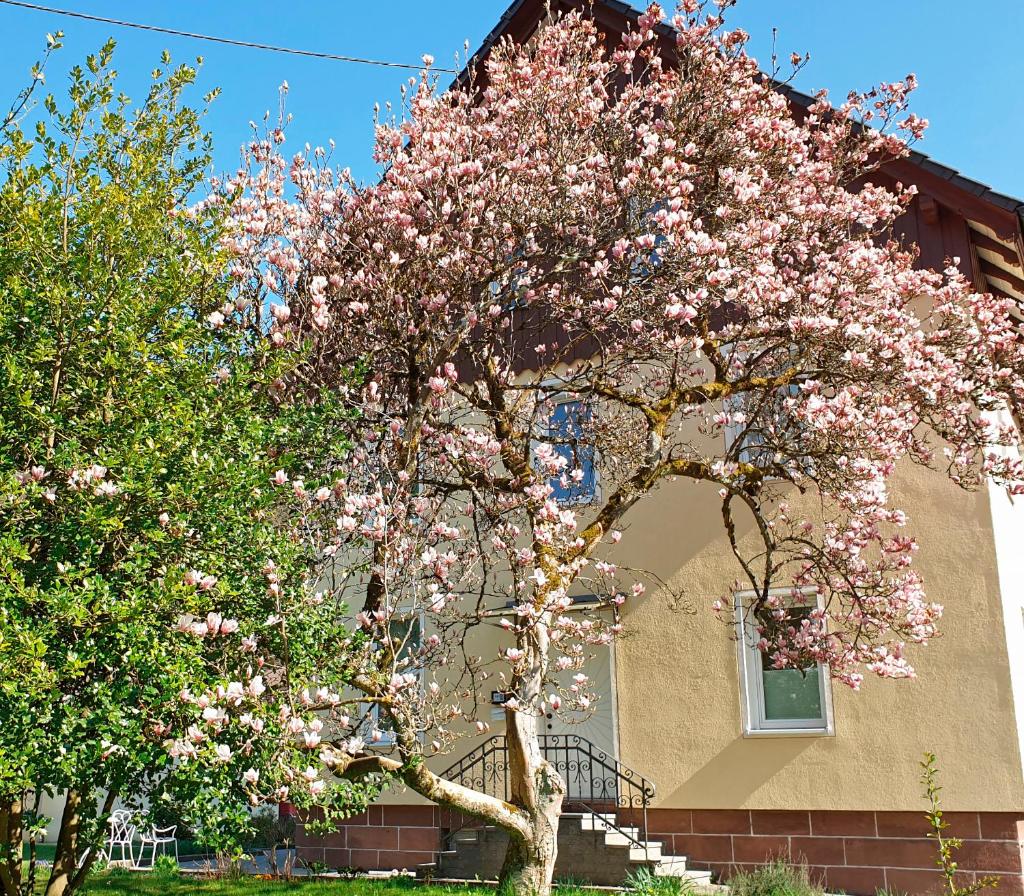 Liebevoll Gästewohnungen photo 3