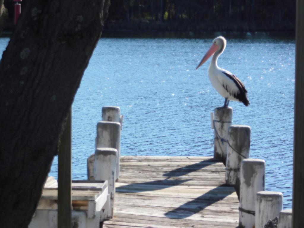 Secret at Sussex Inlet Units photo 4