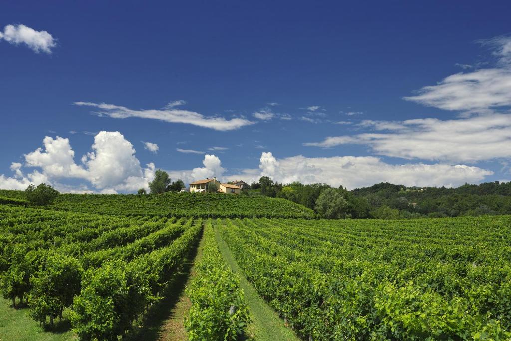 Agriturismo Moro Barel photo 1