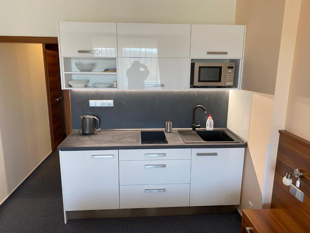 Apartmány wellness Frymburk photo 1