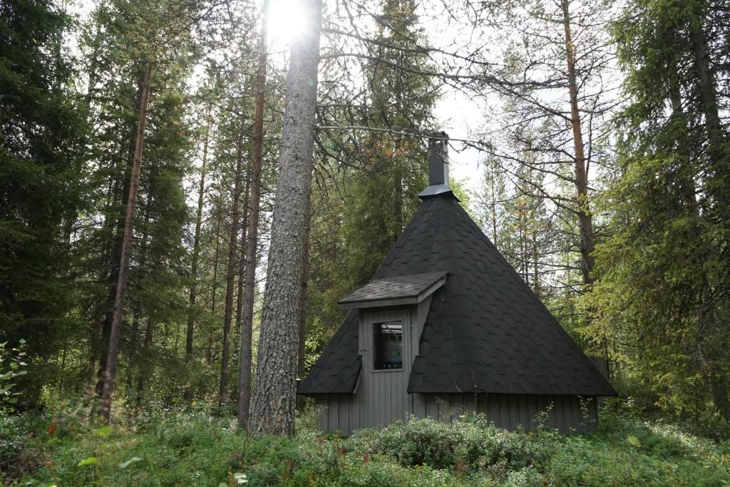 Räkkipirtti photo 4