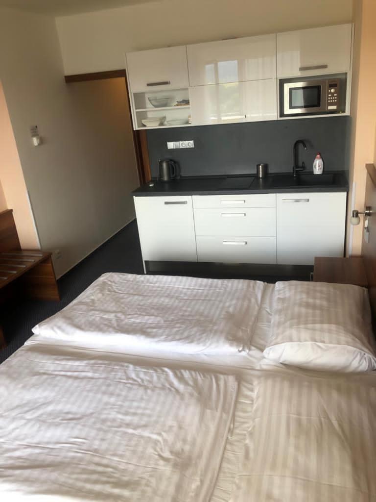 Apartmány wellness Frymburk photo 3