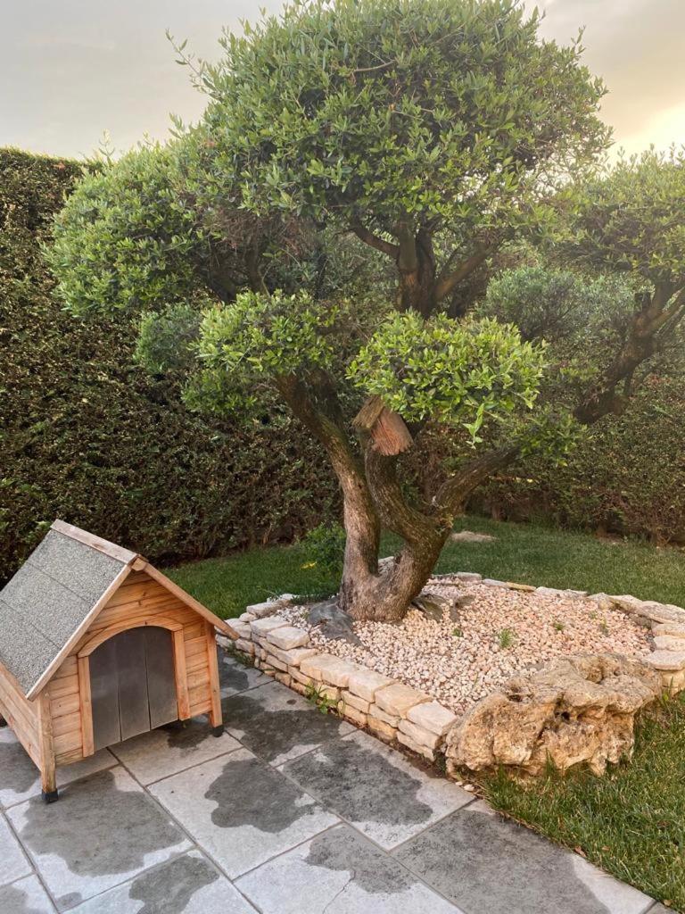 Wooden house photo 4