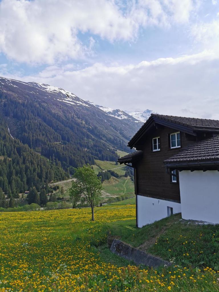 Tgèsa Dutg Grond photo 2