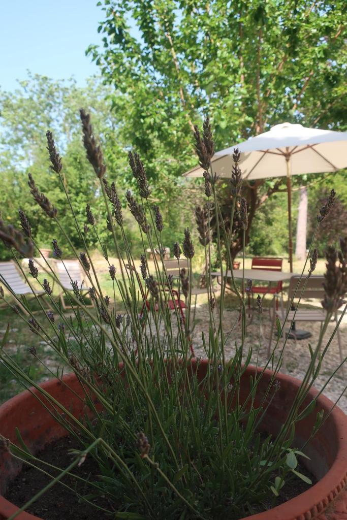 Petit Gîte familial au Domaine de Valmont photo 3