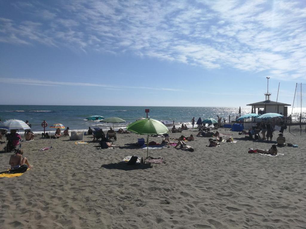 Mare di Roma photo 1
