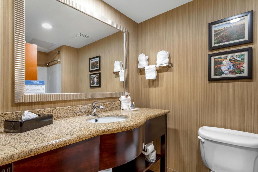Comfort Suites North Knoxville photo 3