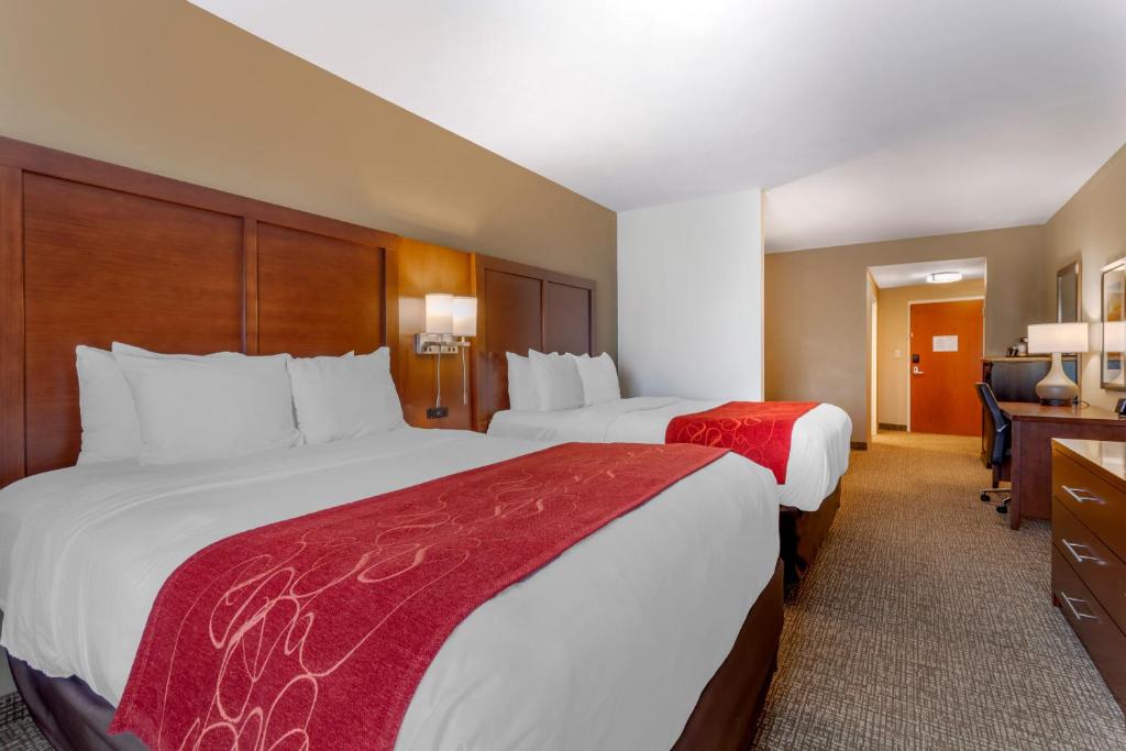 Comfort Suites North Knoxville photo 1