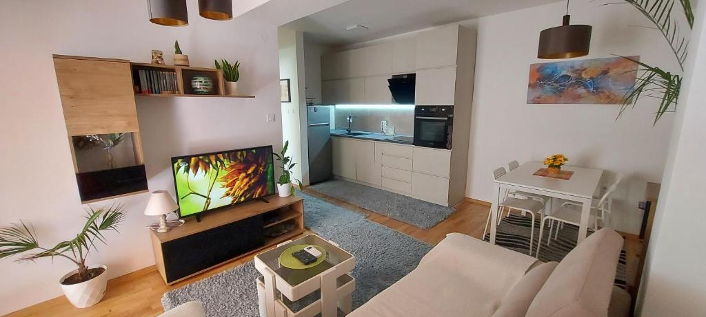Ira's Place/Skopje Central Apartments photo 3