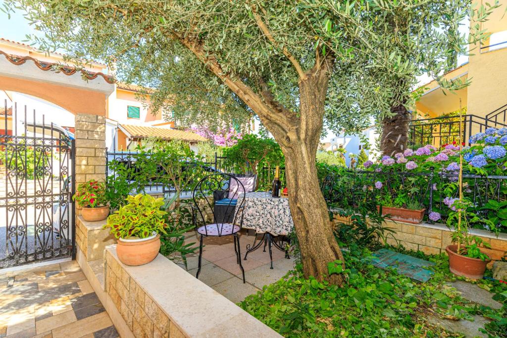 Apartments Barica photo 4