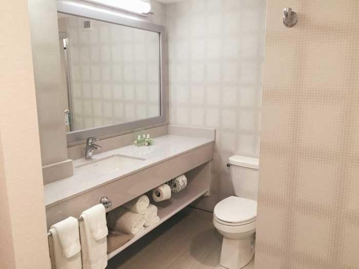Holiday Inn Winnipeg - Airport West, an IHG Hotel photo 3