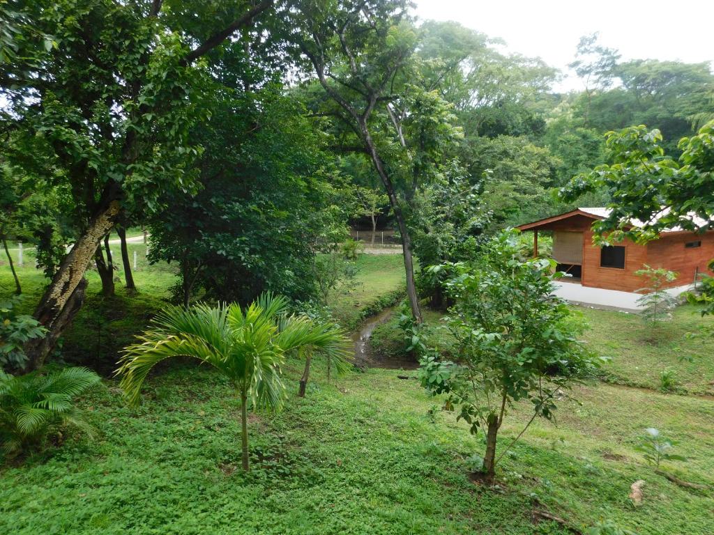 Villasjungle 2 photo 3