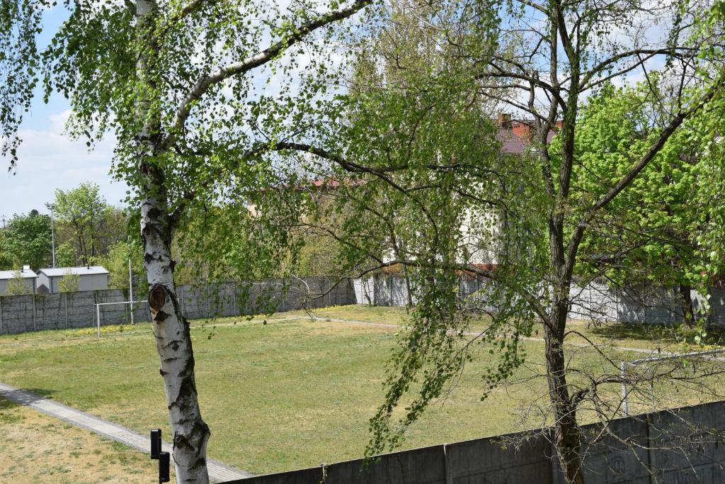 Одноместный (Одноместный номер), Hotel Boss