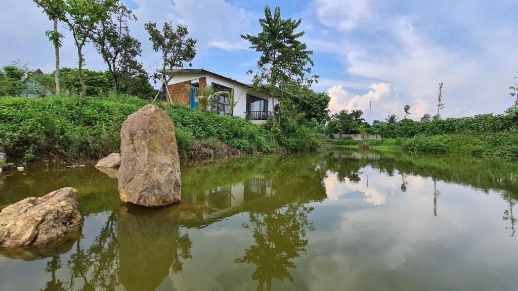 Bavi Annam Garden photo 3