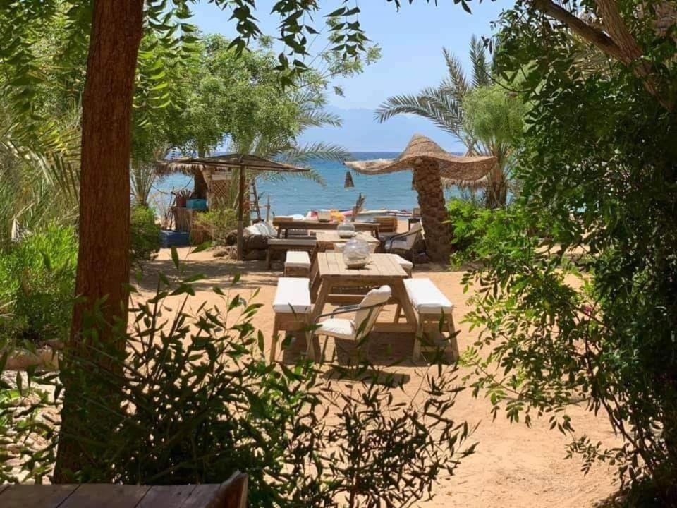 Nakhil Inn Nuweiba photo 3