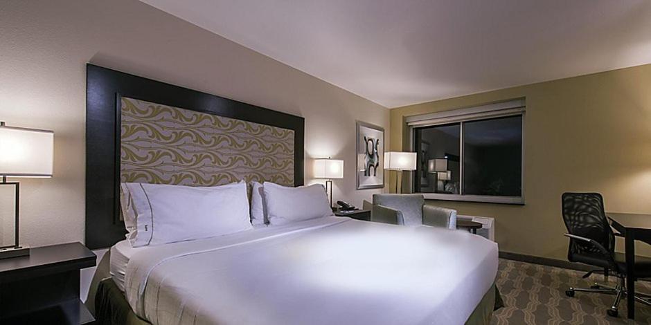 Holiday Inn Express & Suites Colorado Springs Central, an IHG Hotel photo 4