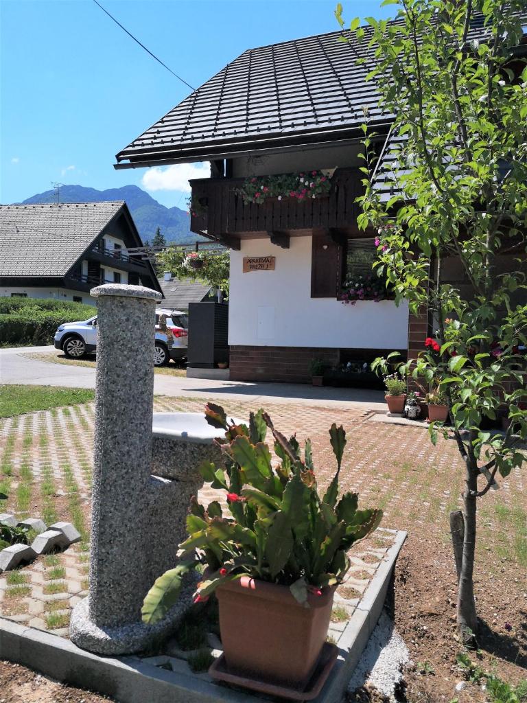 Apartmaji Preželj photo 3