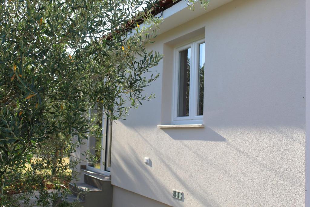 Guest house Ada photo 4