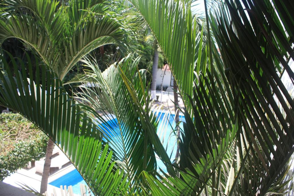 Двухместный (Двухместный номер с 1 кроватью), Hotel Olinalá Diamante