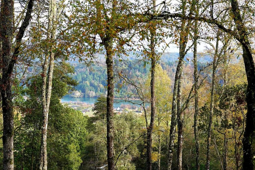 LA CASA EN EL BOSQUE con vista al Río photo 2
