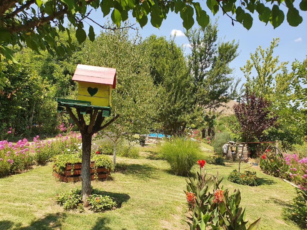 Danica House photo 3