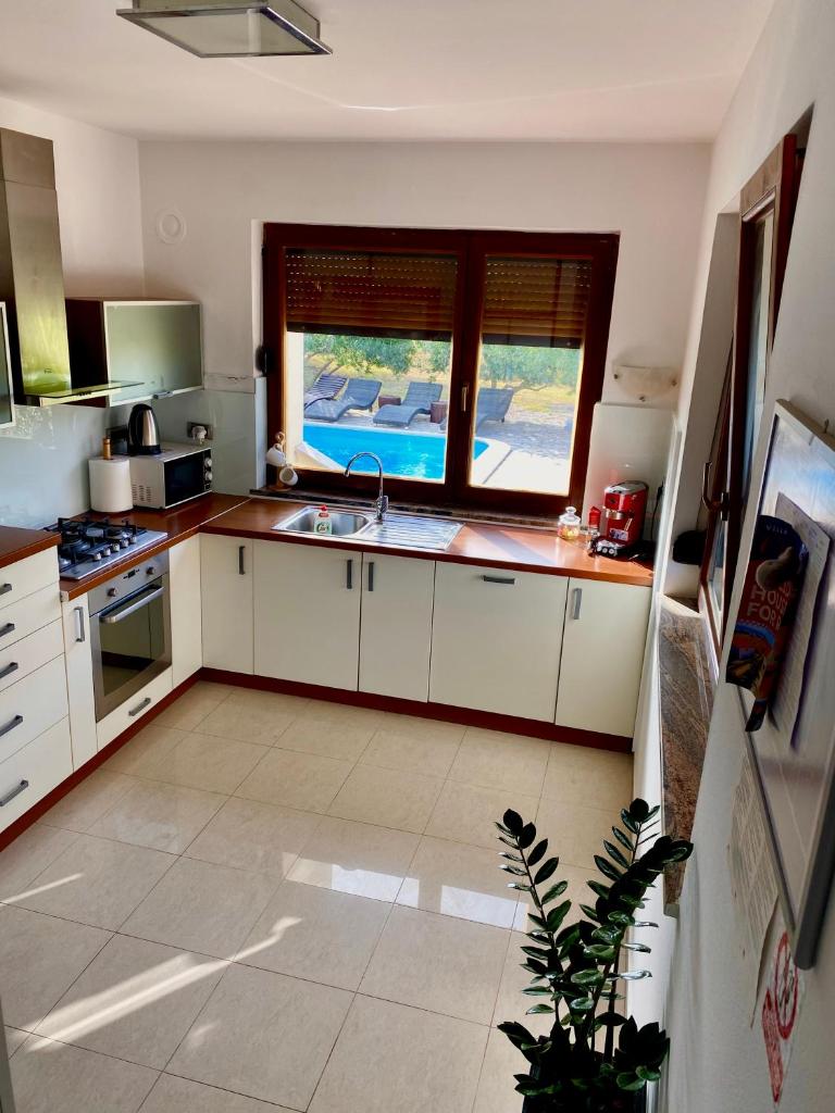 Villa Cvita photo 2
