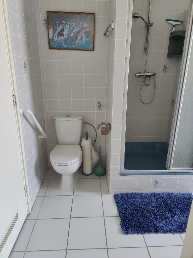 Cosy appartement Wassenaar photo 4