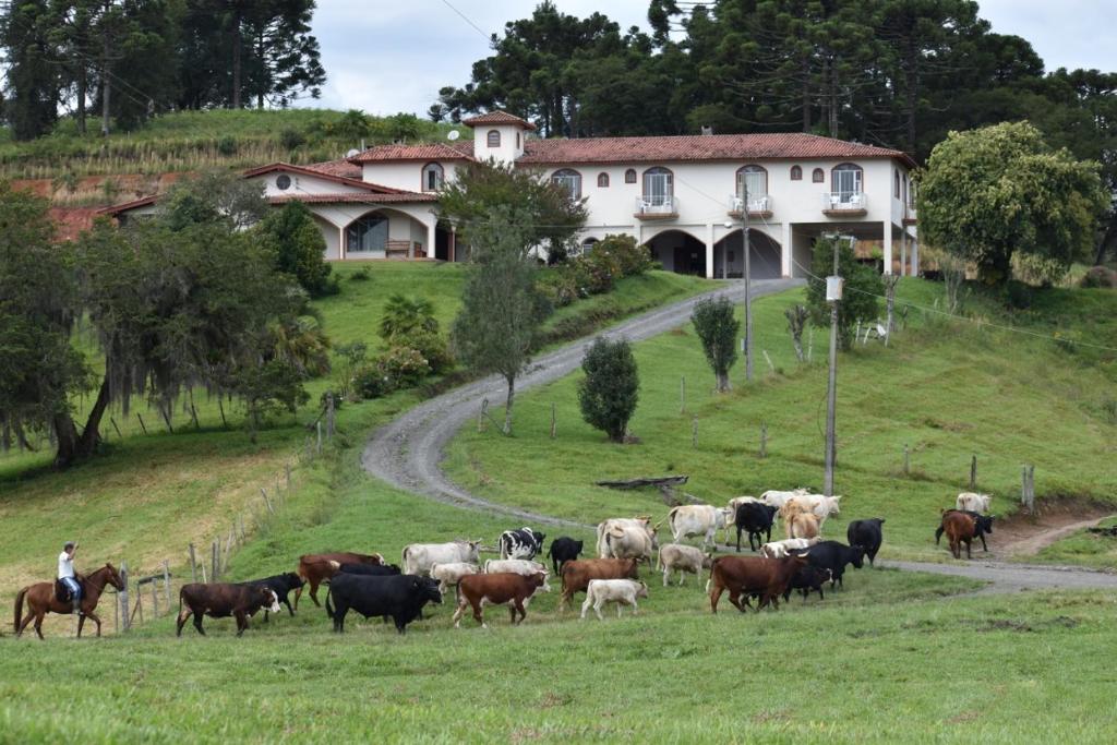 Pousada Fazenda da Invernada photo 3